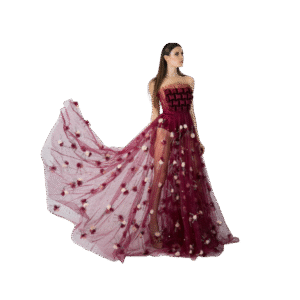 Seethrough Gown